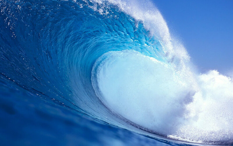 Curling ocean wave