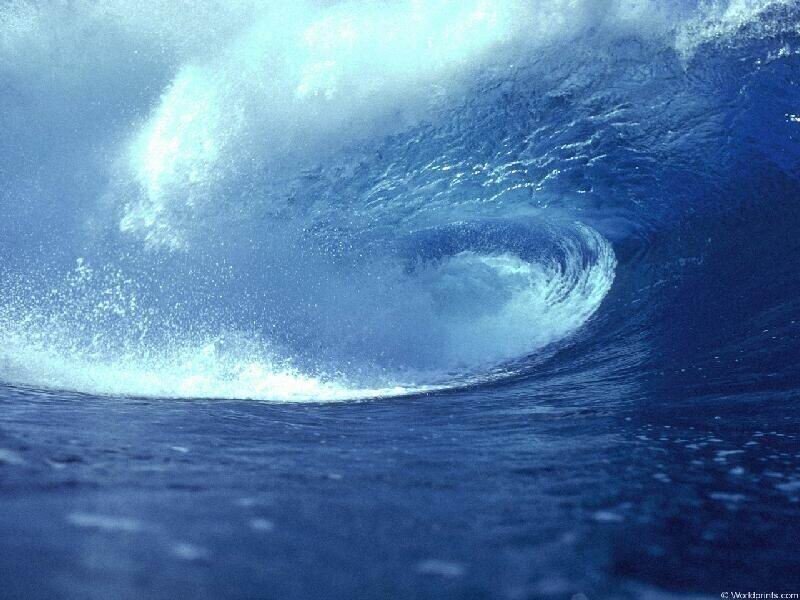 Curling ocean wave