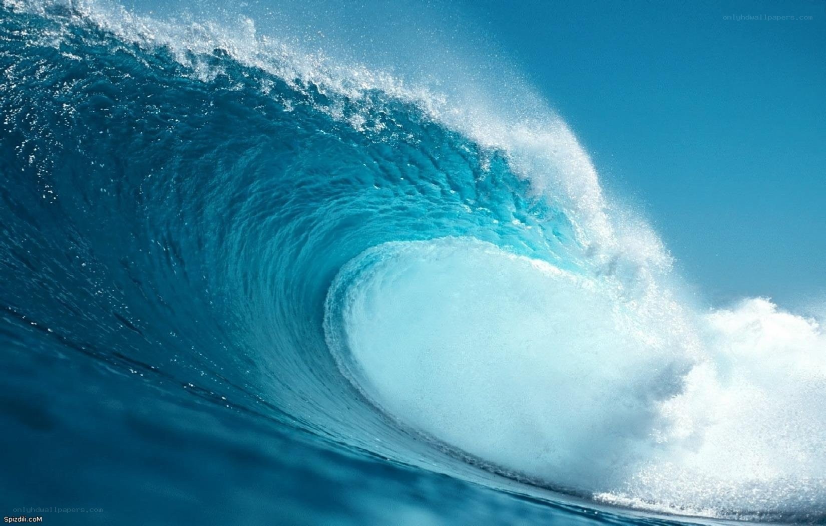 Curling ocean wave