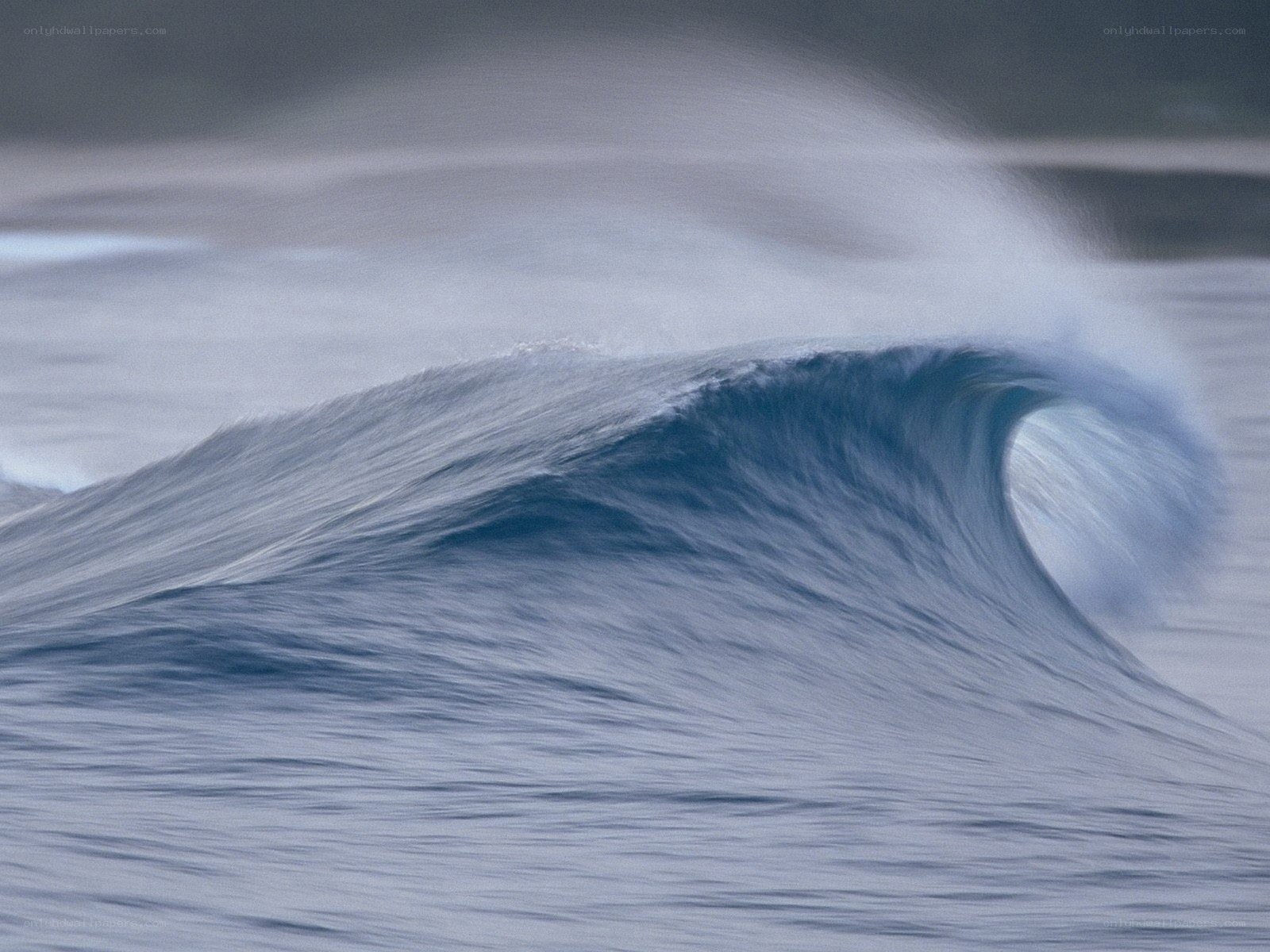 Curling ocean wave