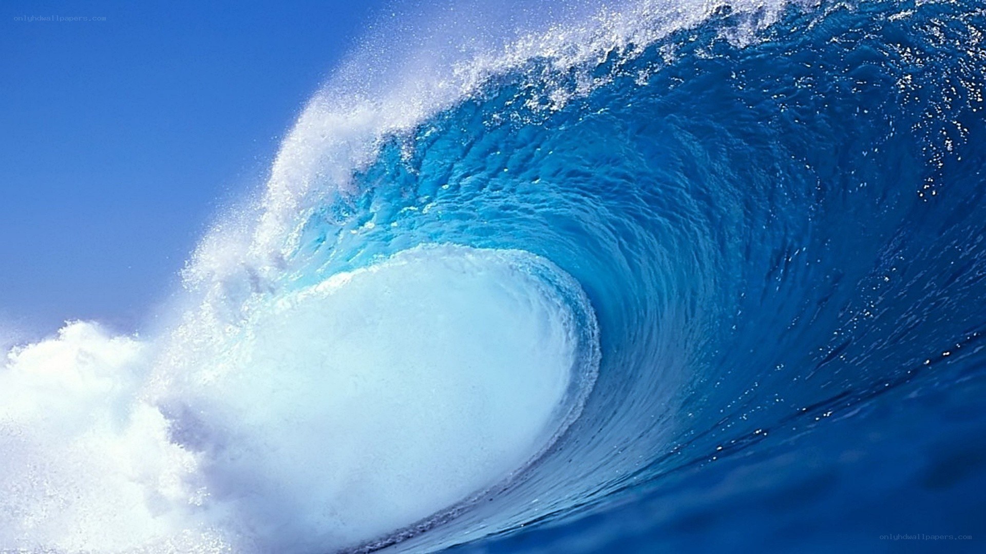 Curling ocean wave