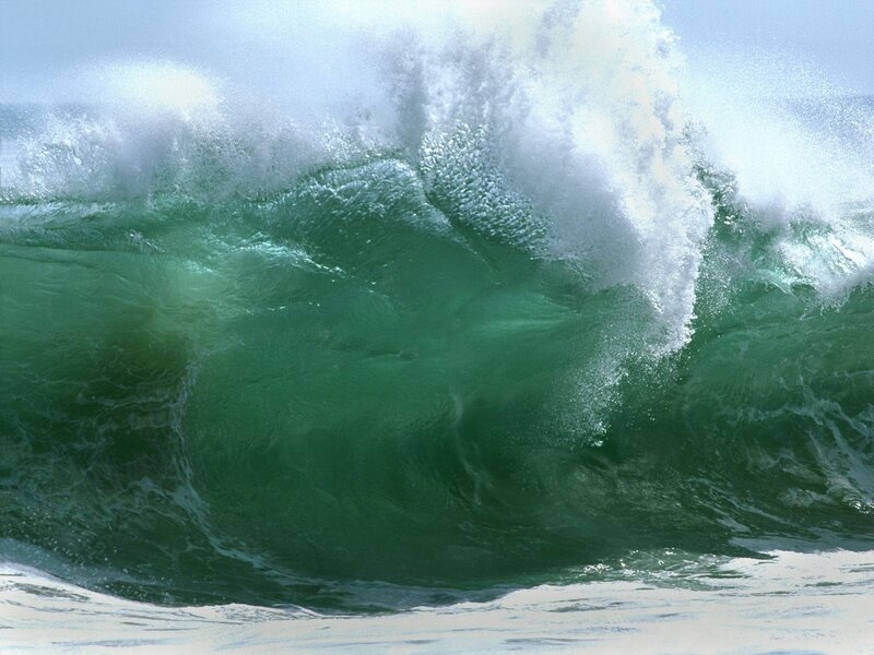 Curling ocean wave