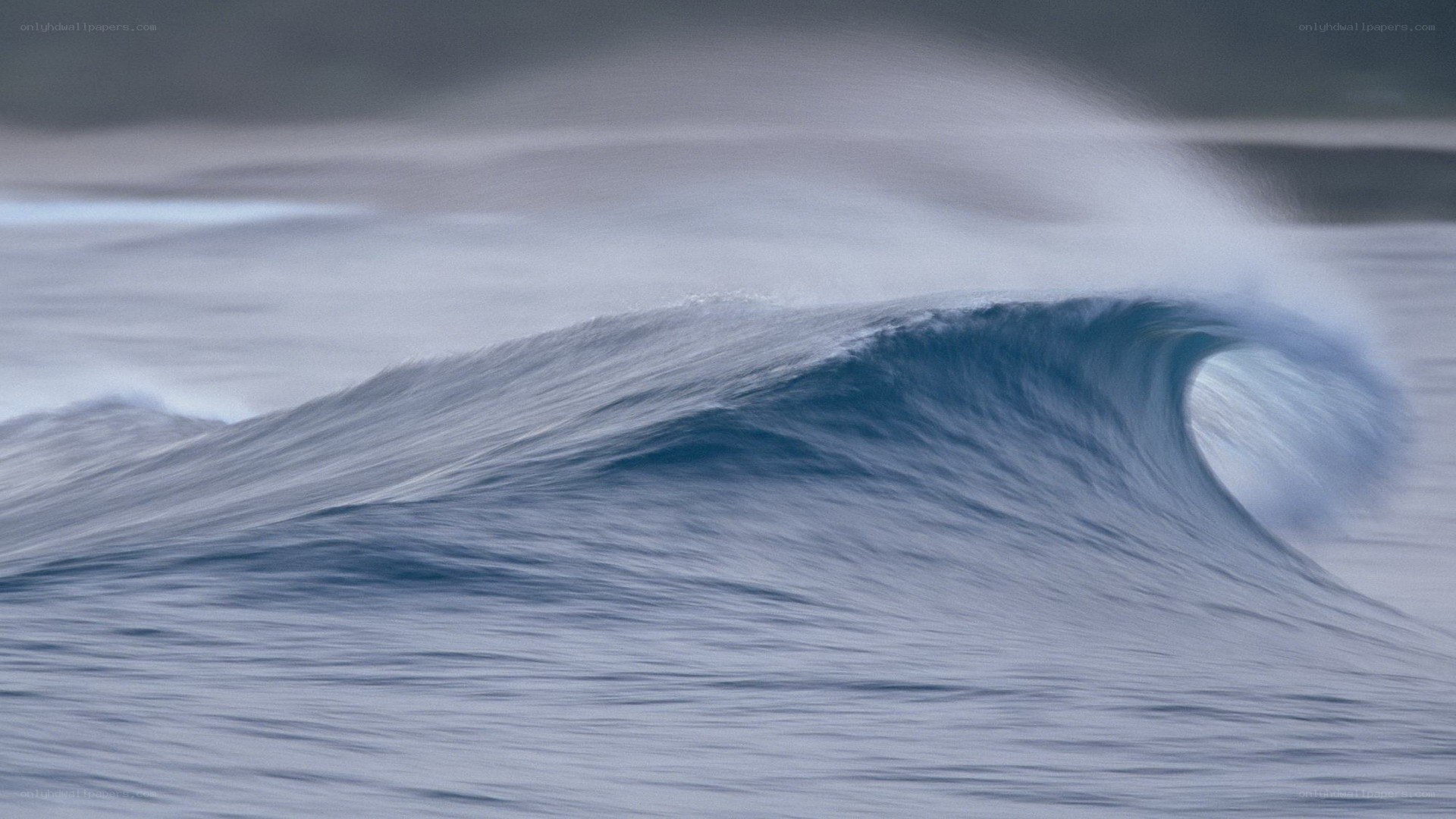 Curling ocean wave