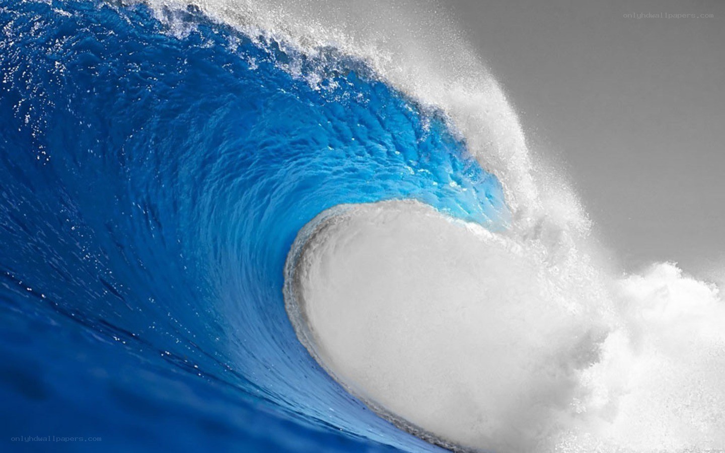 Curling ocean wave