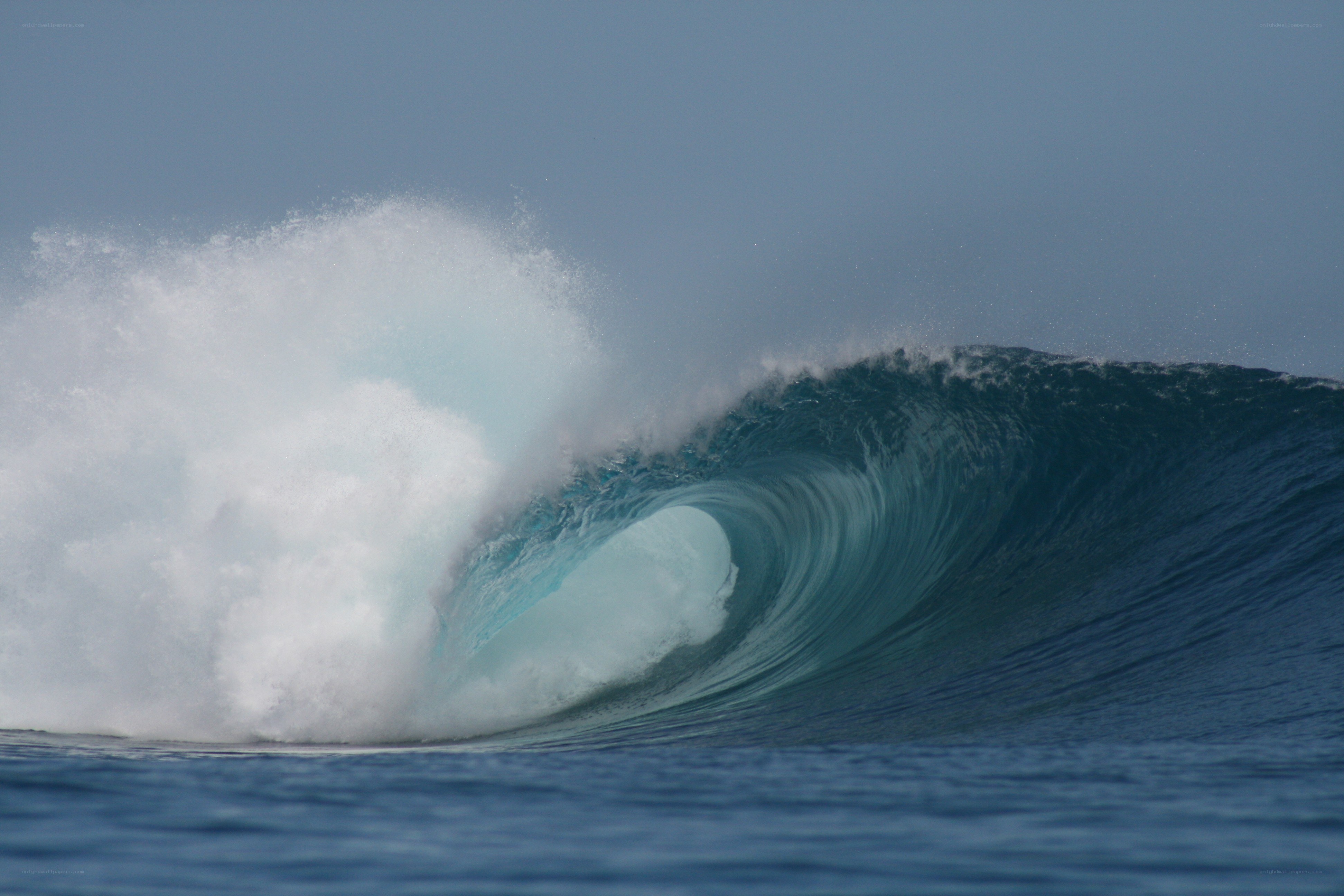 Curling ocean wave