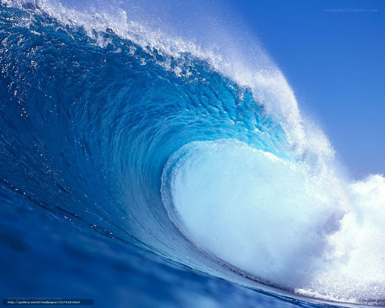Curling ocean wave