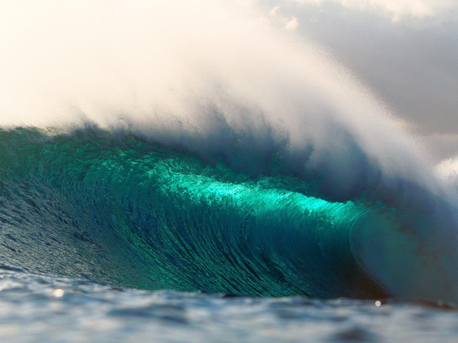 Curling ocean wave
