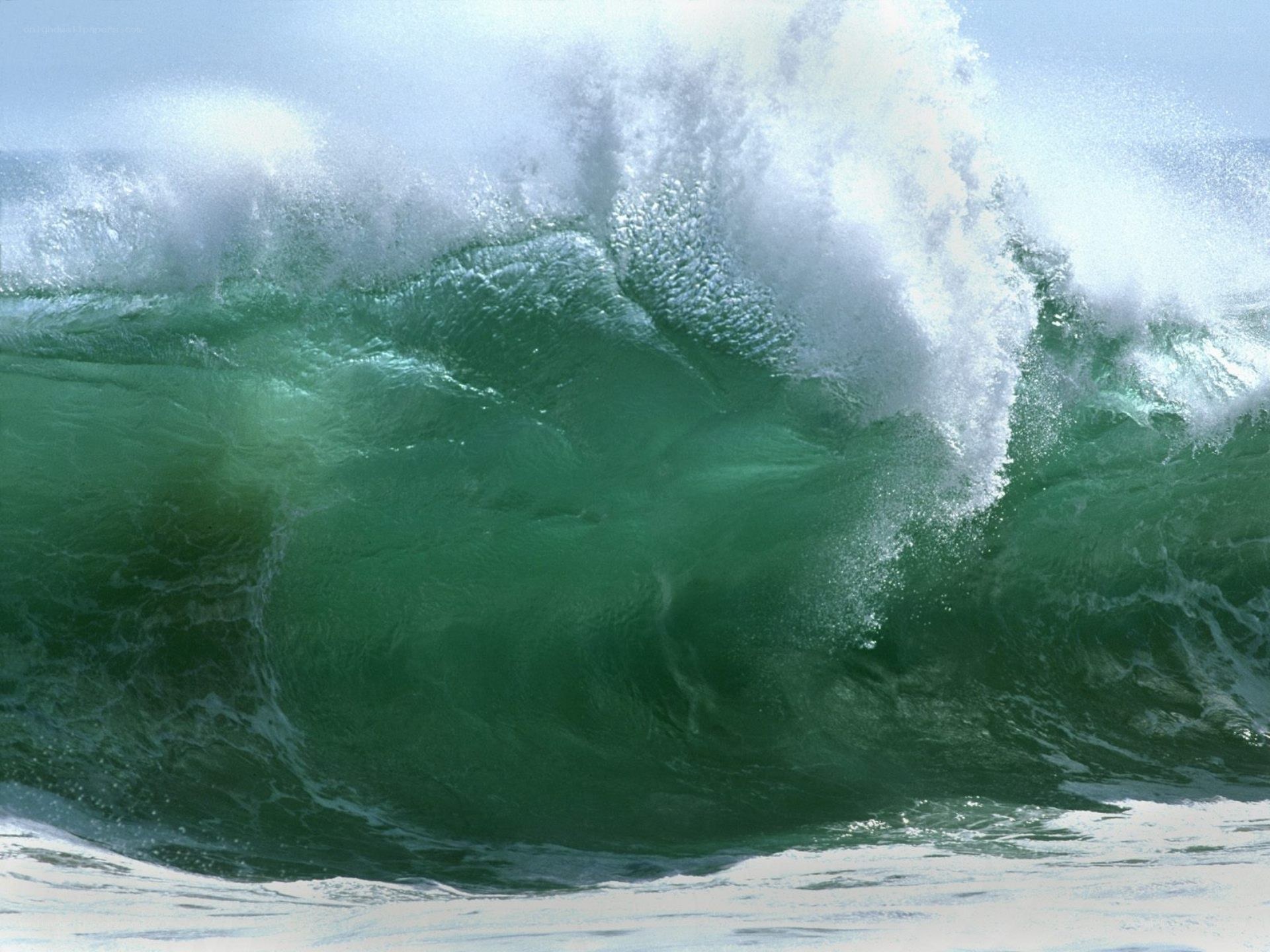 Curling ocean wave