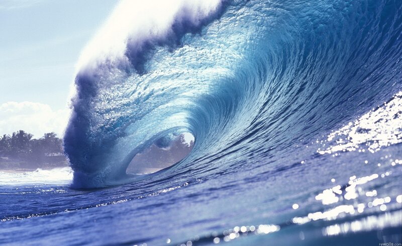 Curling ocean wave at beach