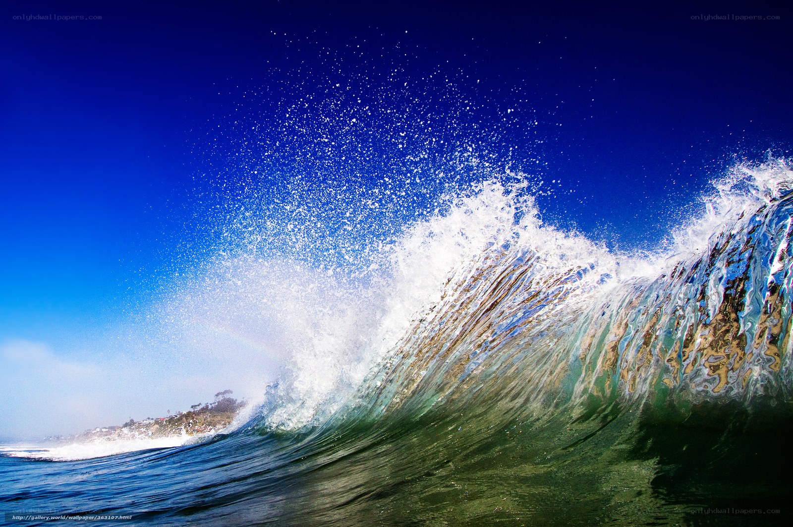Curling ocean wave at beach