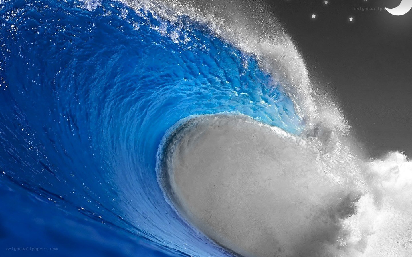 Curling ocean wave at night