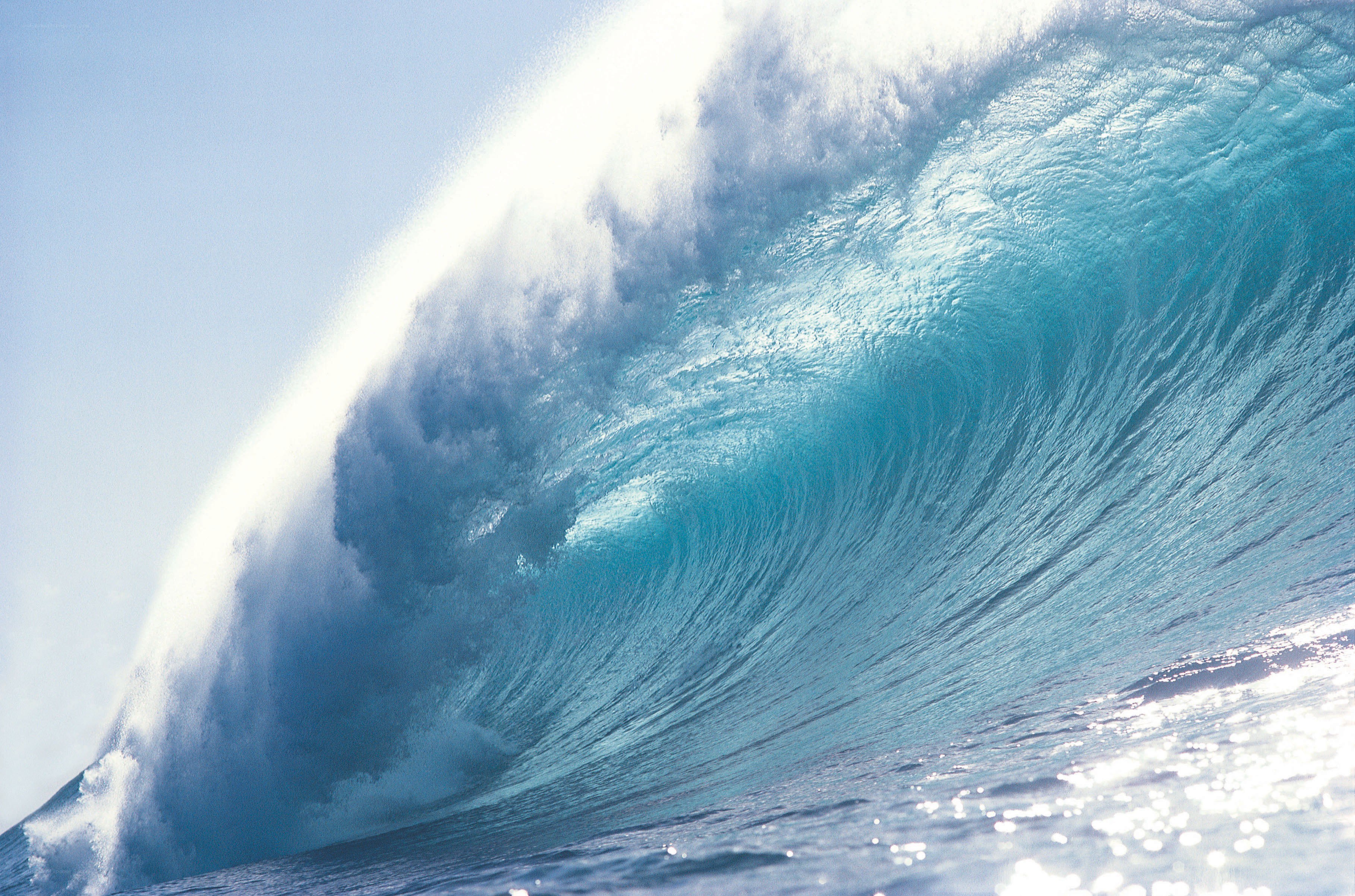 Curling ocean wave at sea