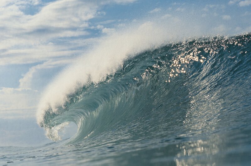 Curling ocean wave at sunset