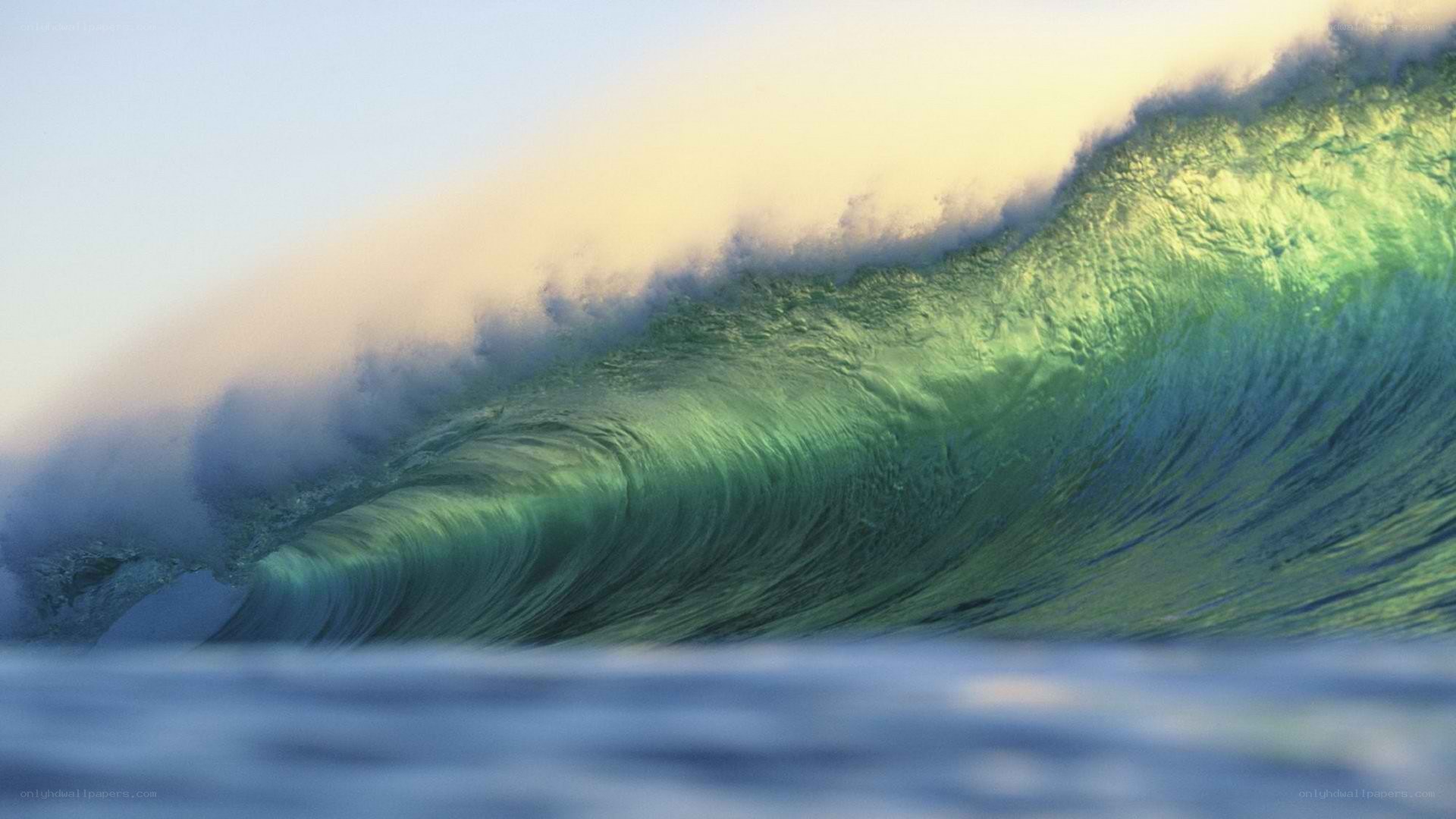 Curling ocean wave at sunset