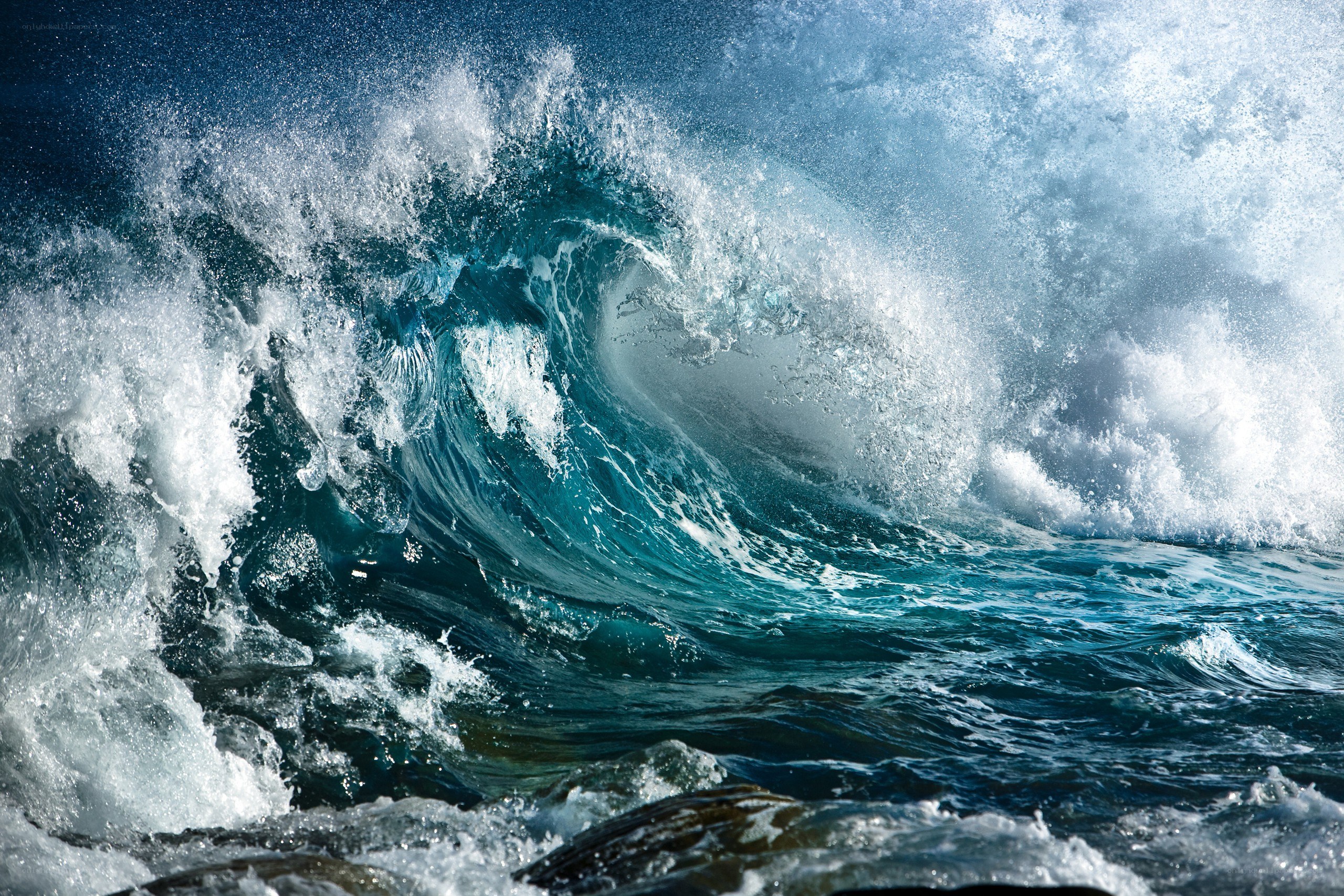 Curling ocean wave at sunset