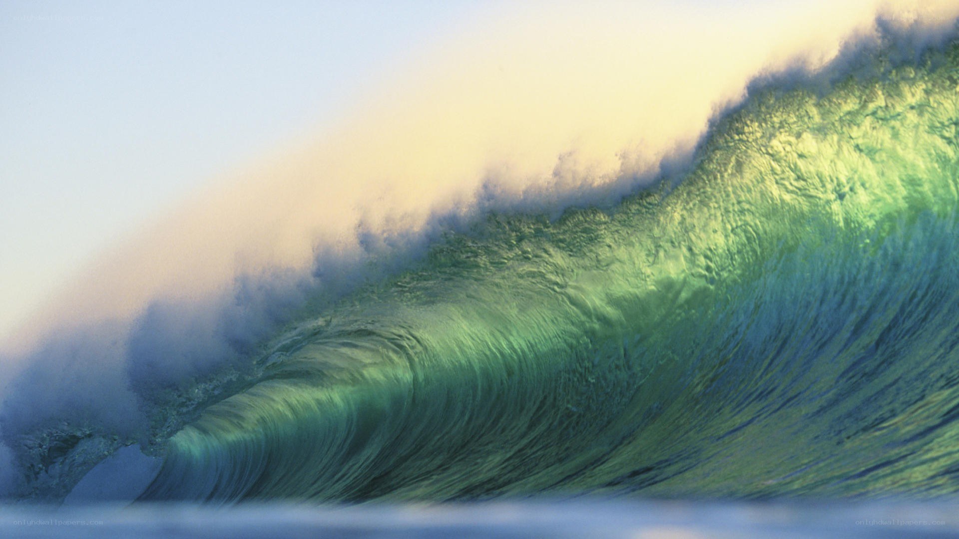 Curling ocean wave at sunset