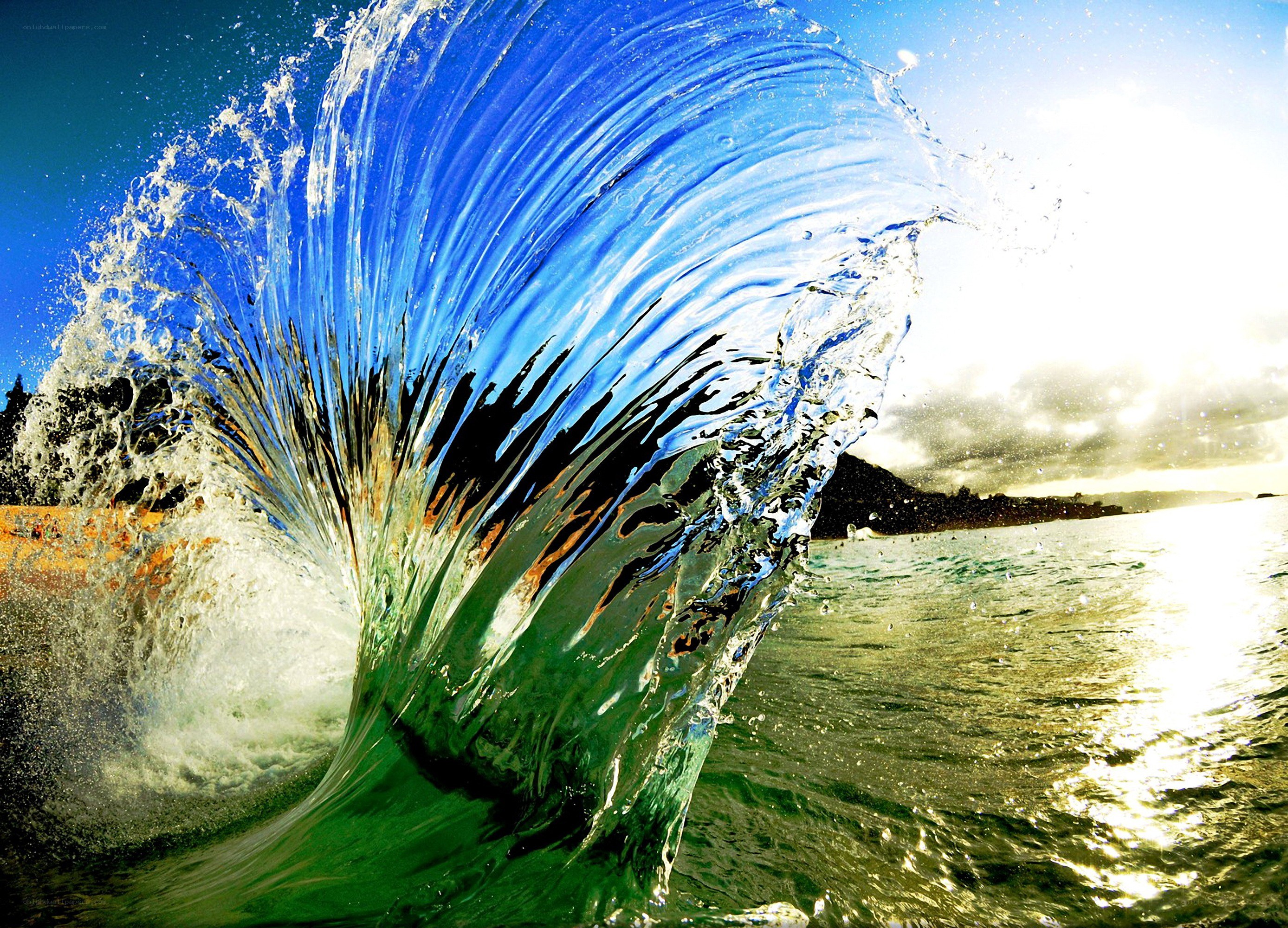 Curling ocean wave at sunset