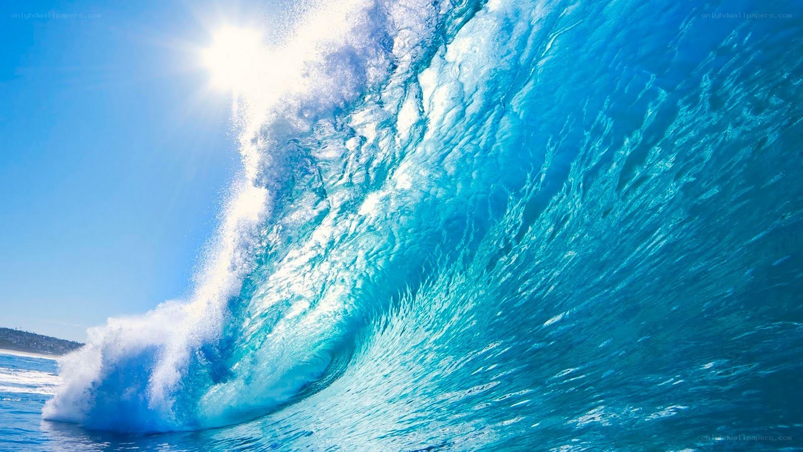 Curling ocean wave at sunset