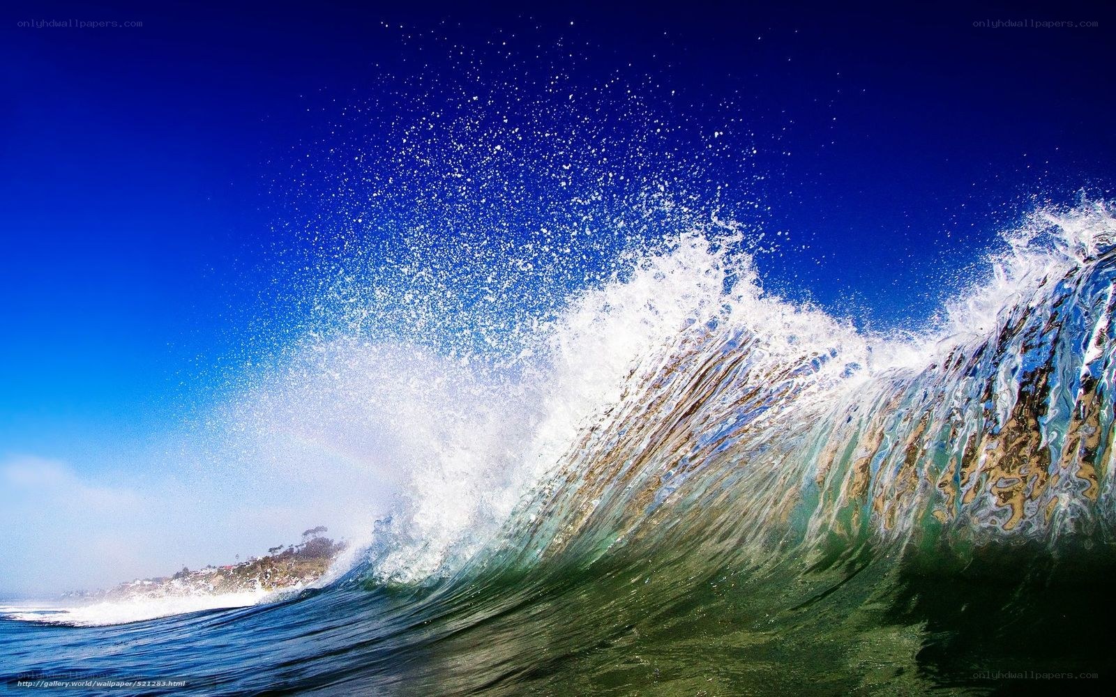 Curling ocean wave at sunset