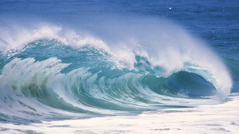 Curling ocean wave at the shore