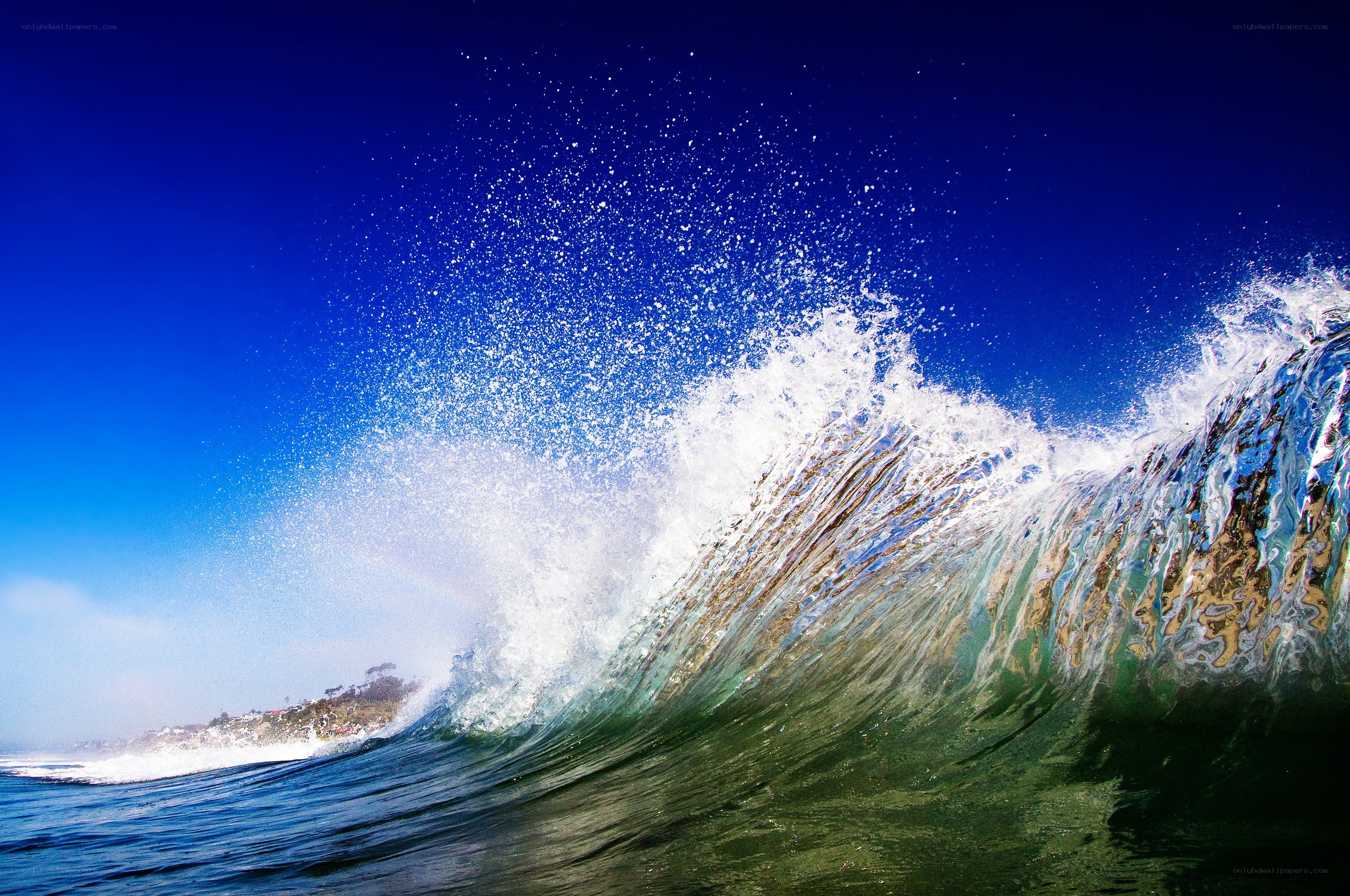 Curling ocean wave at the shore