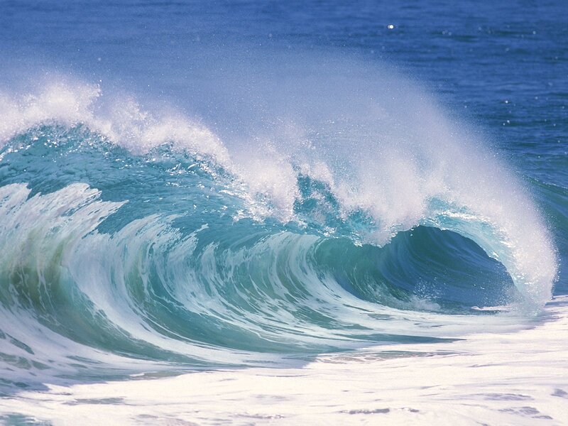 Curling ocean wave at the shore