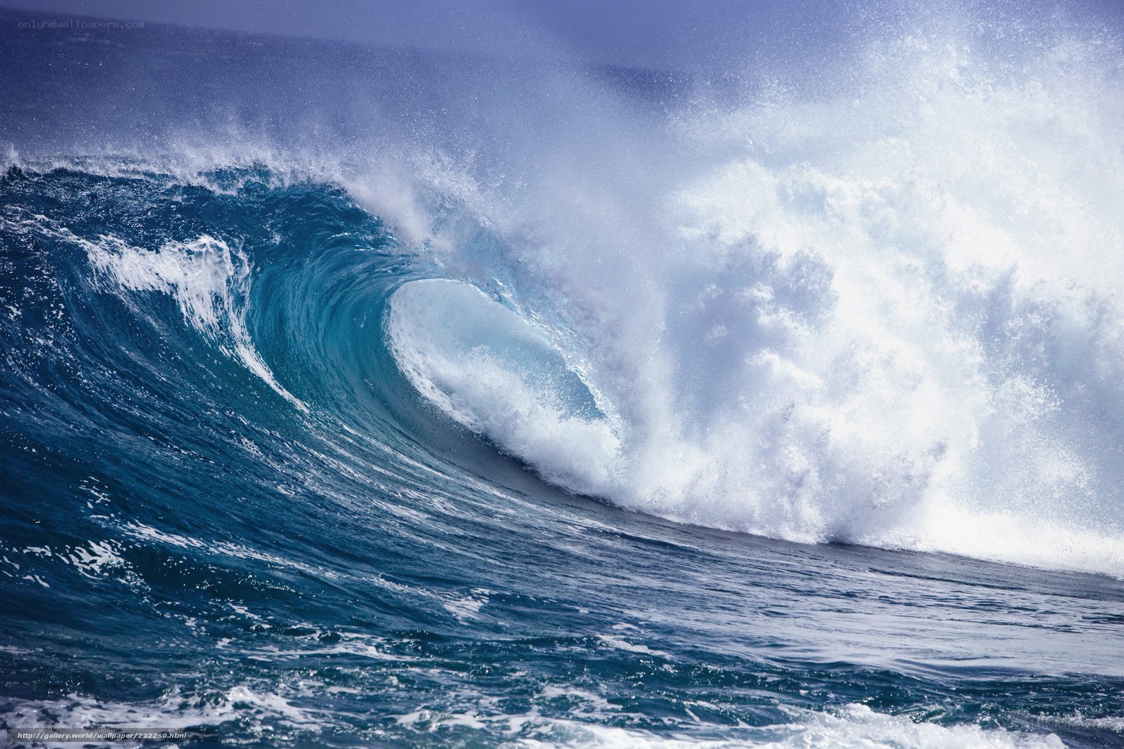 Curling ocean wave breaking