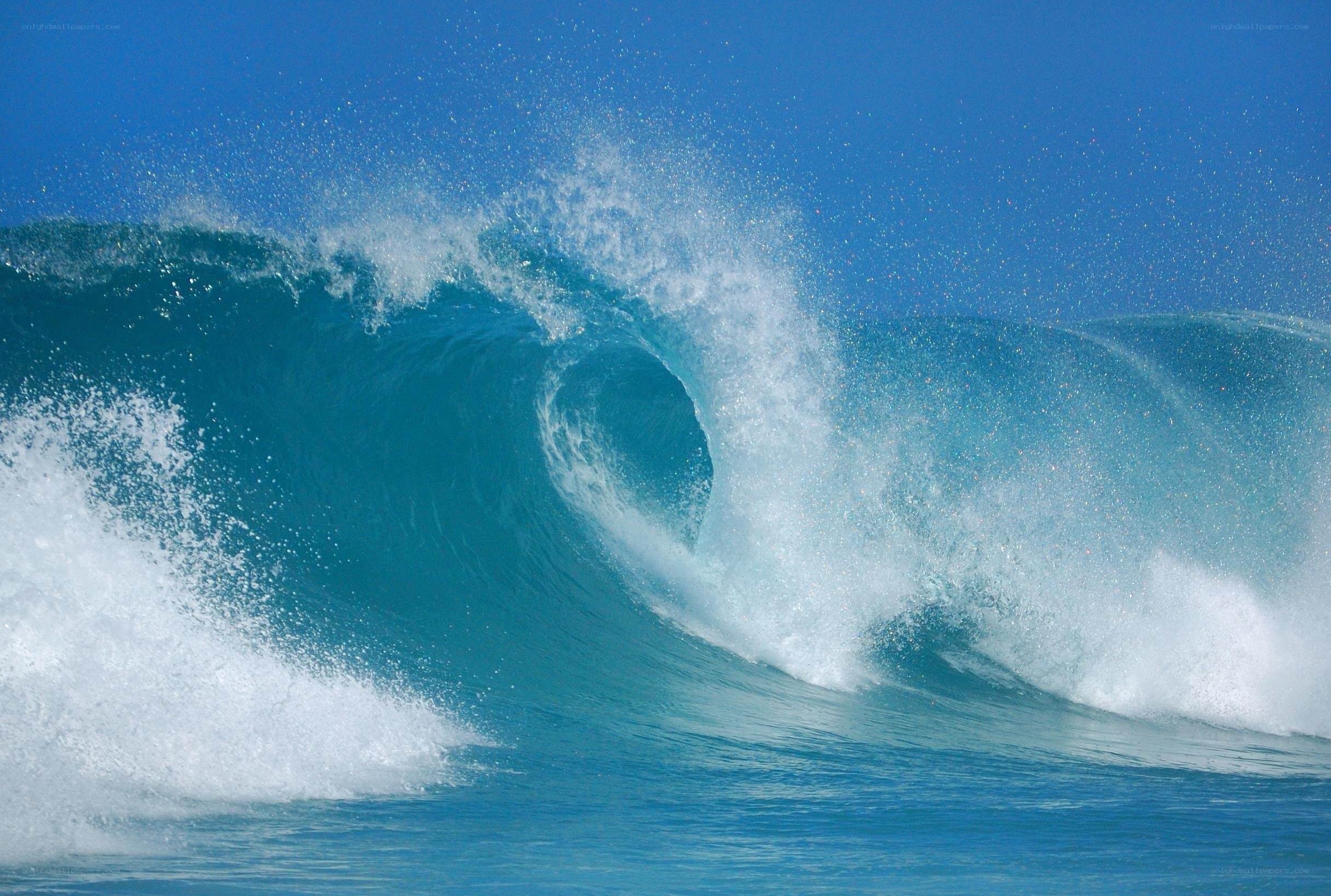 Curling ocean wave in blue sky