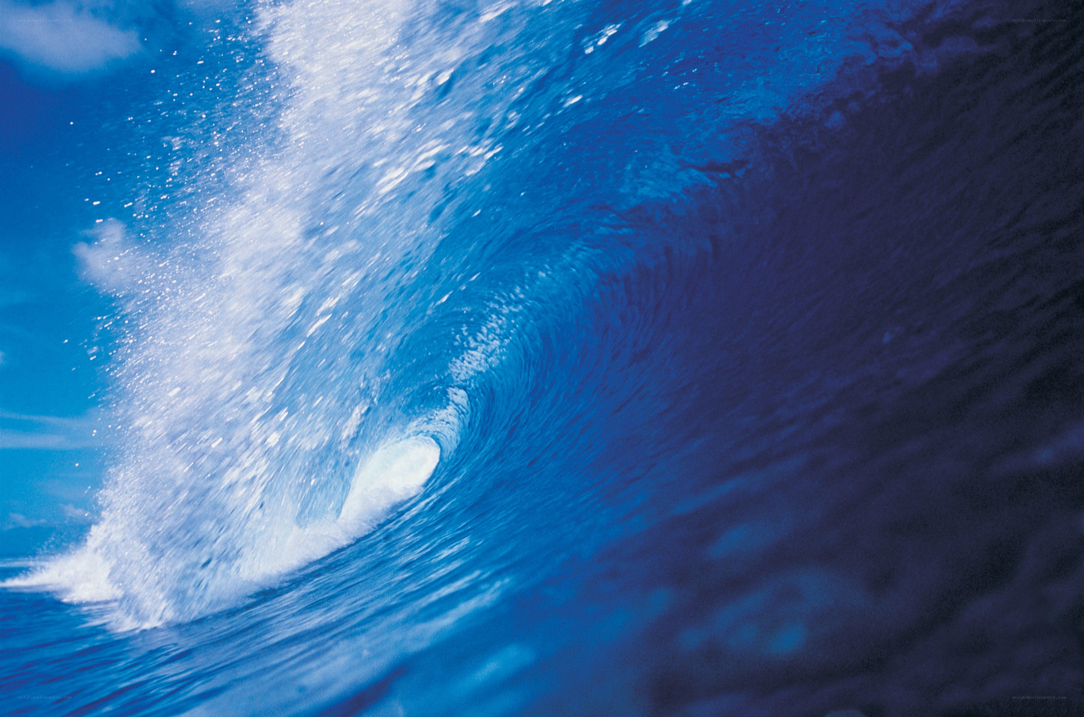 Curling ocean wave in blue
