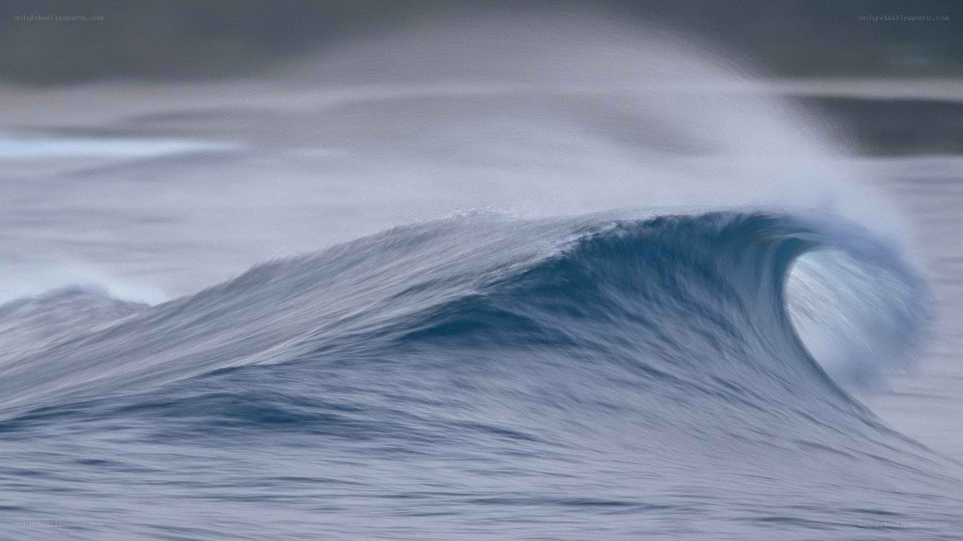 Curling ocean wave in motion