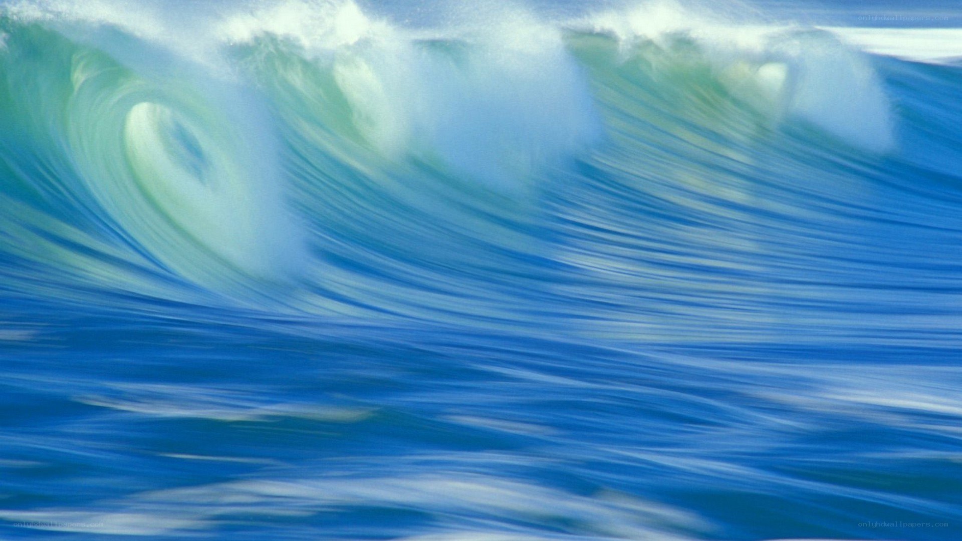 Curling ocean wave in motion