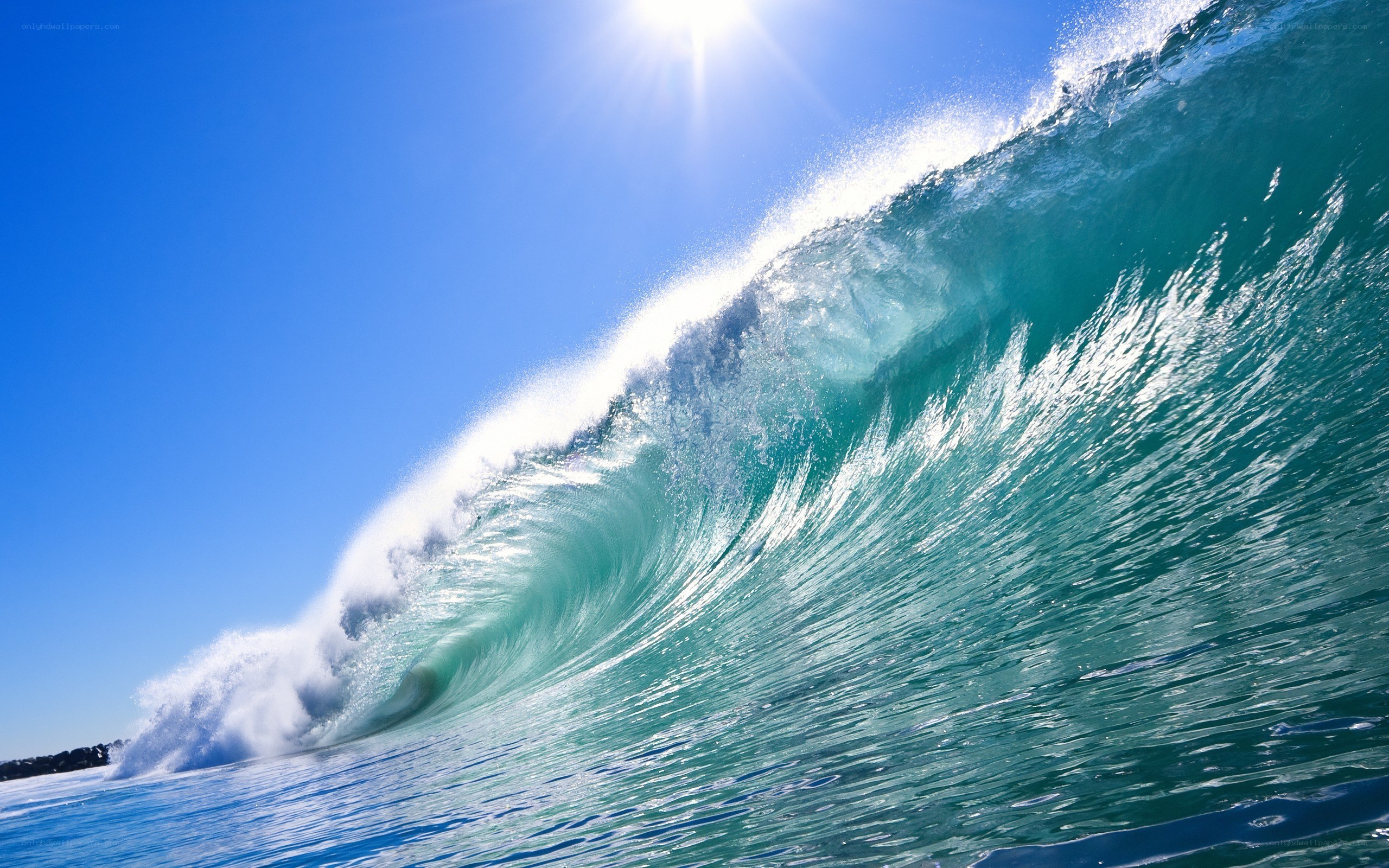 Curling ocean wave under sun