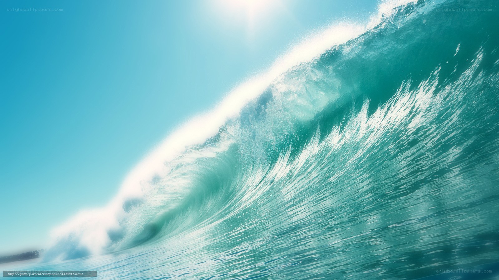 Curling ocean wave under sun