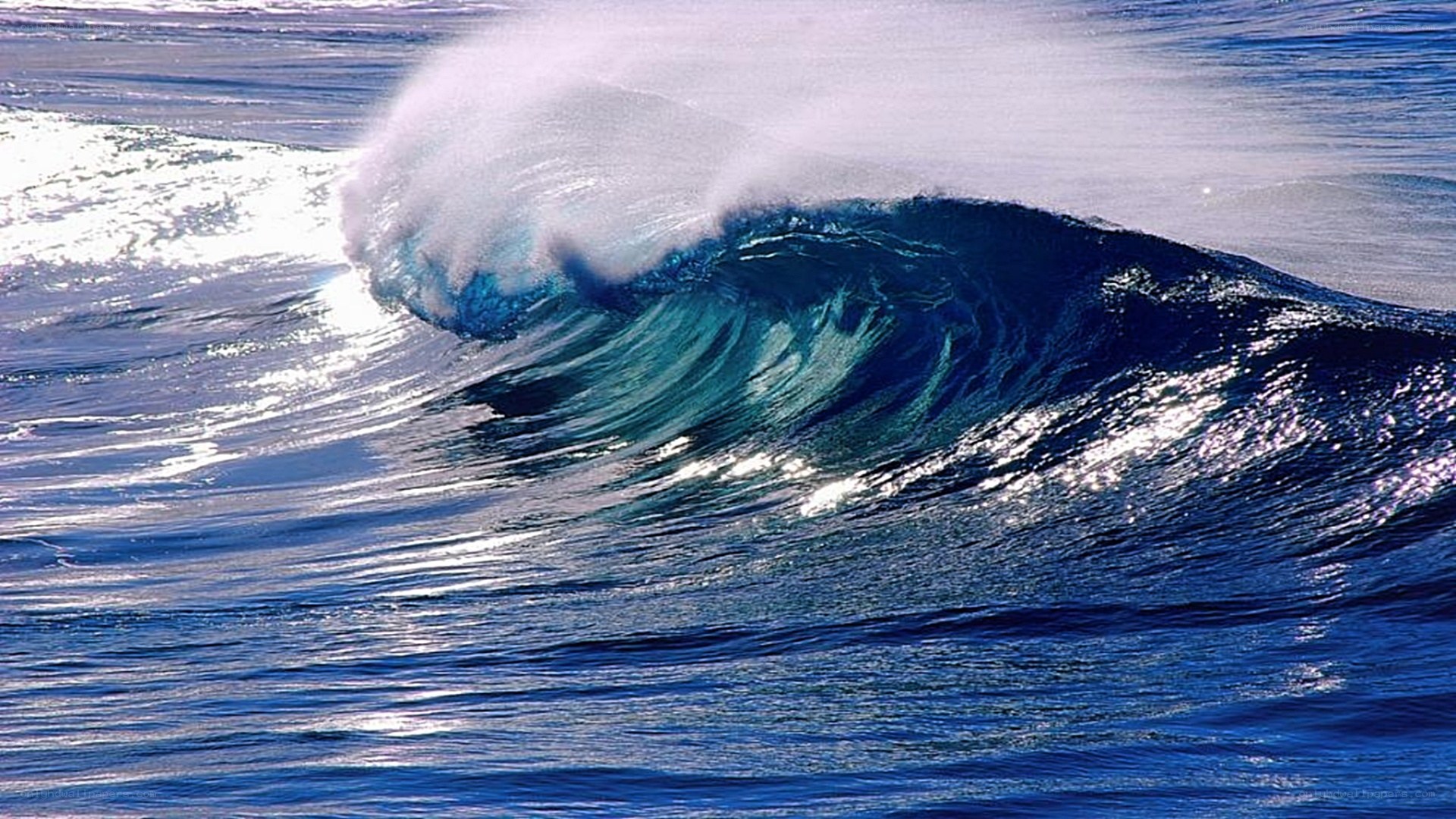 Curling ocean wave with foam