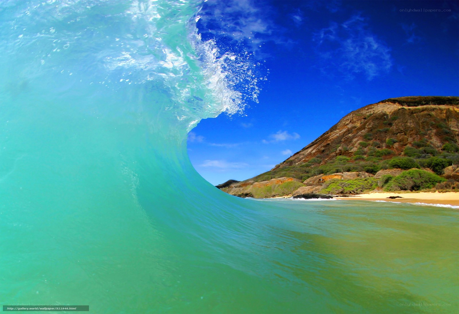 Curling wave at tropical beach