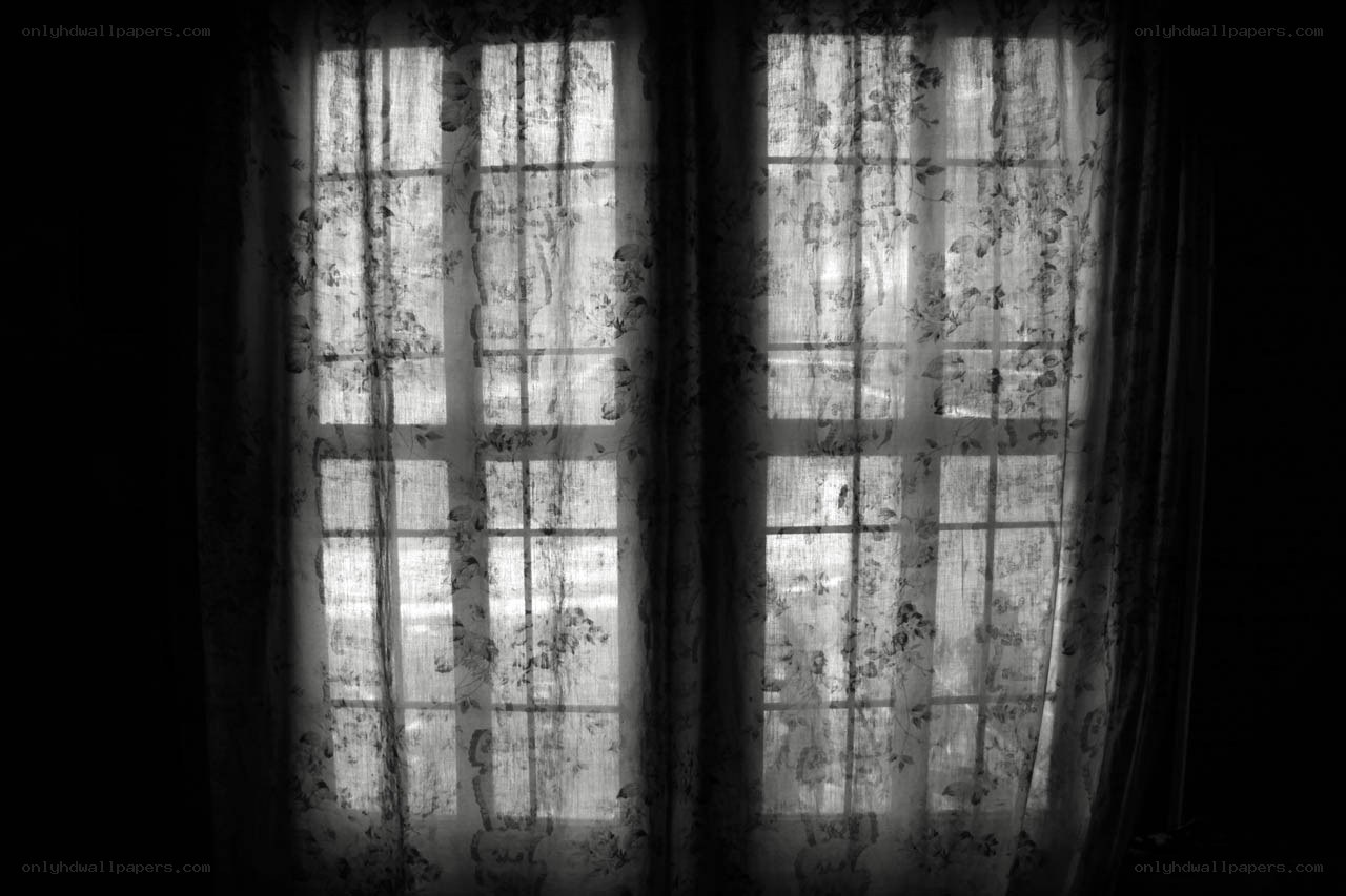 curtains over a window
