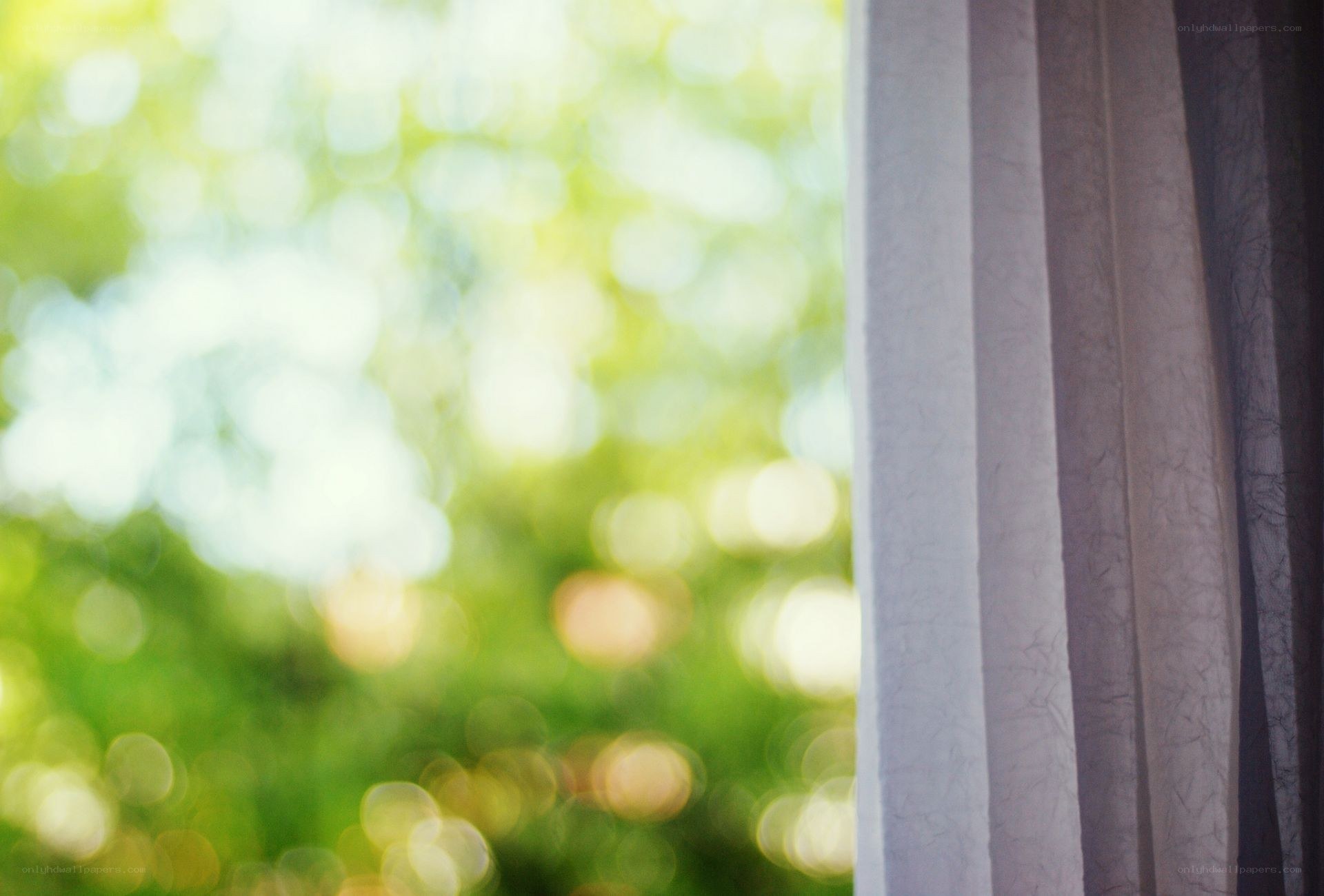 curtains with green bokeh background