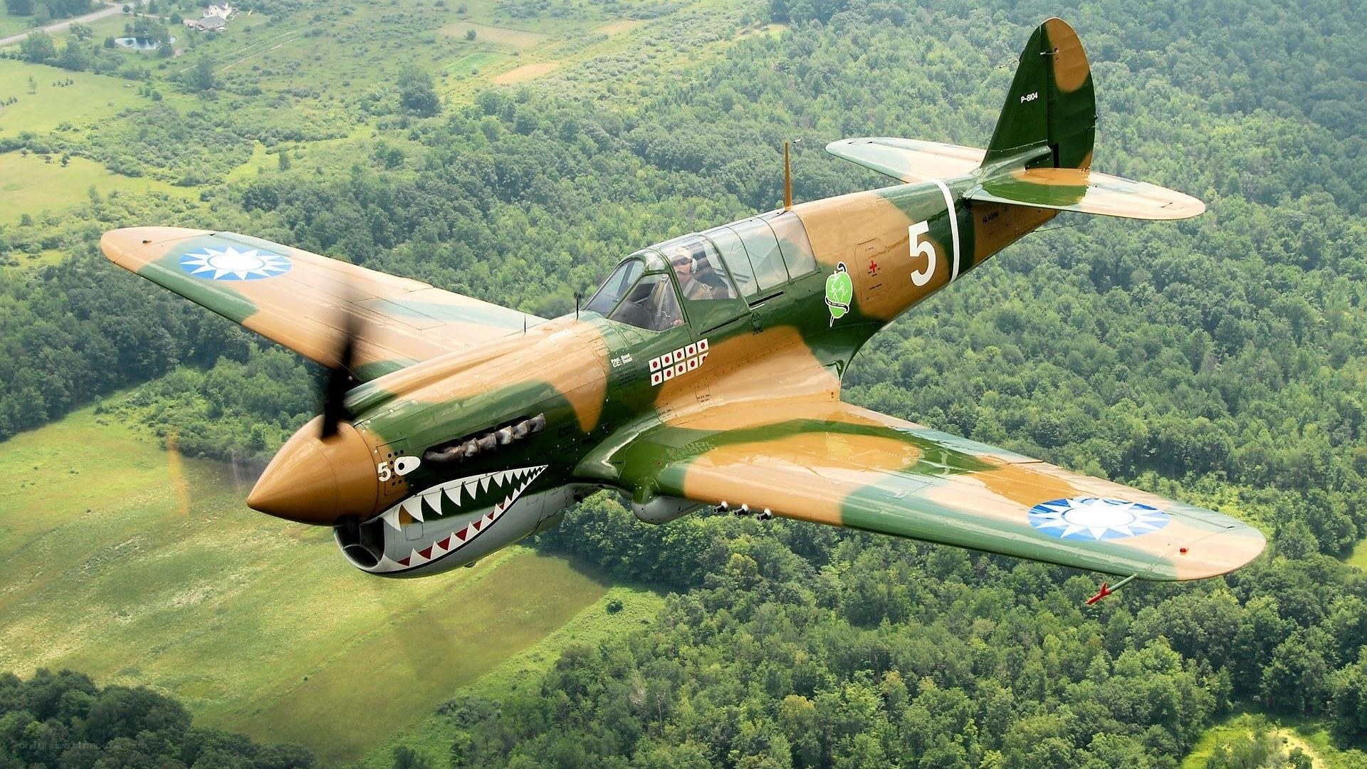 Curtiss P-40 Warhawk in flight