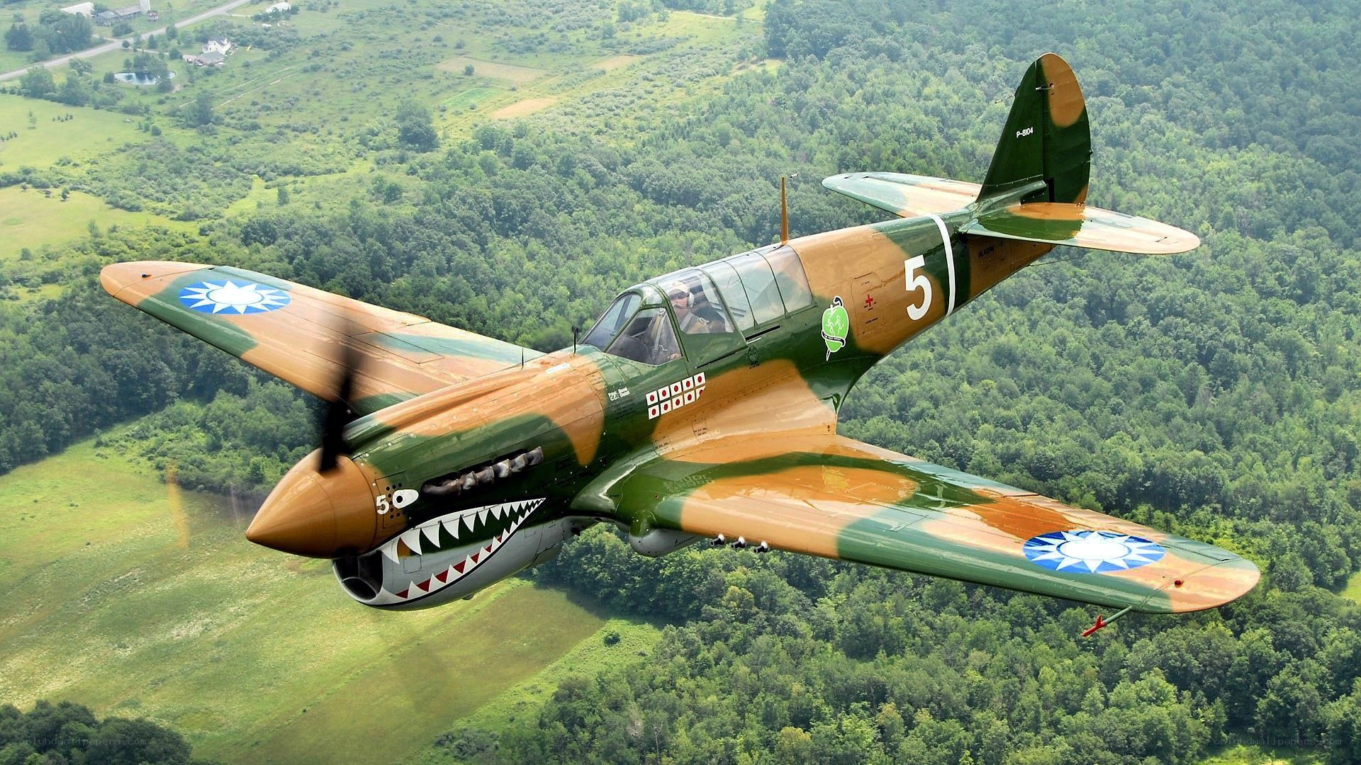 Curtiss P-40 Warhawk in flight