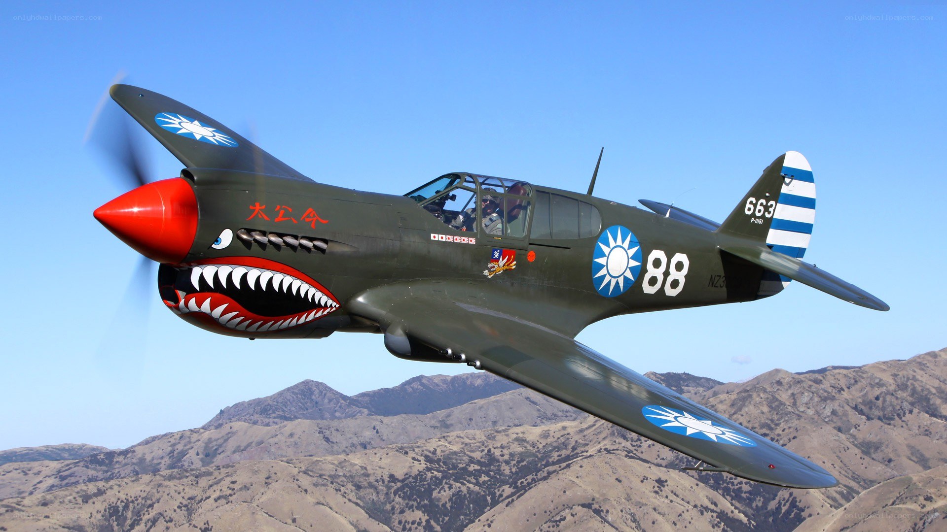 Curtiss P-40 Warhawk in flight