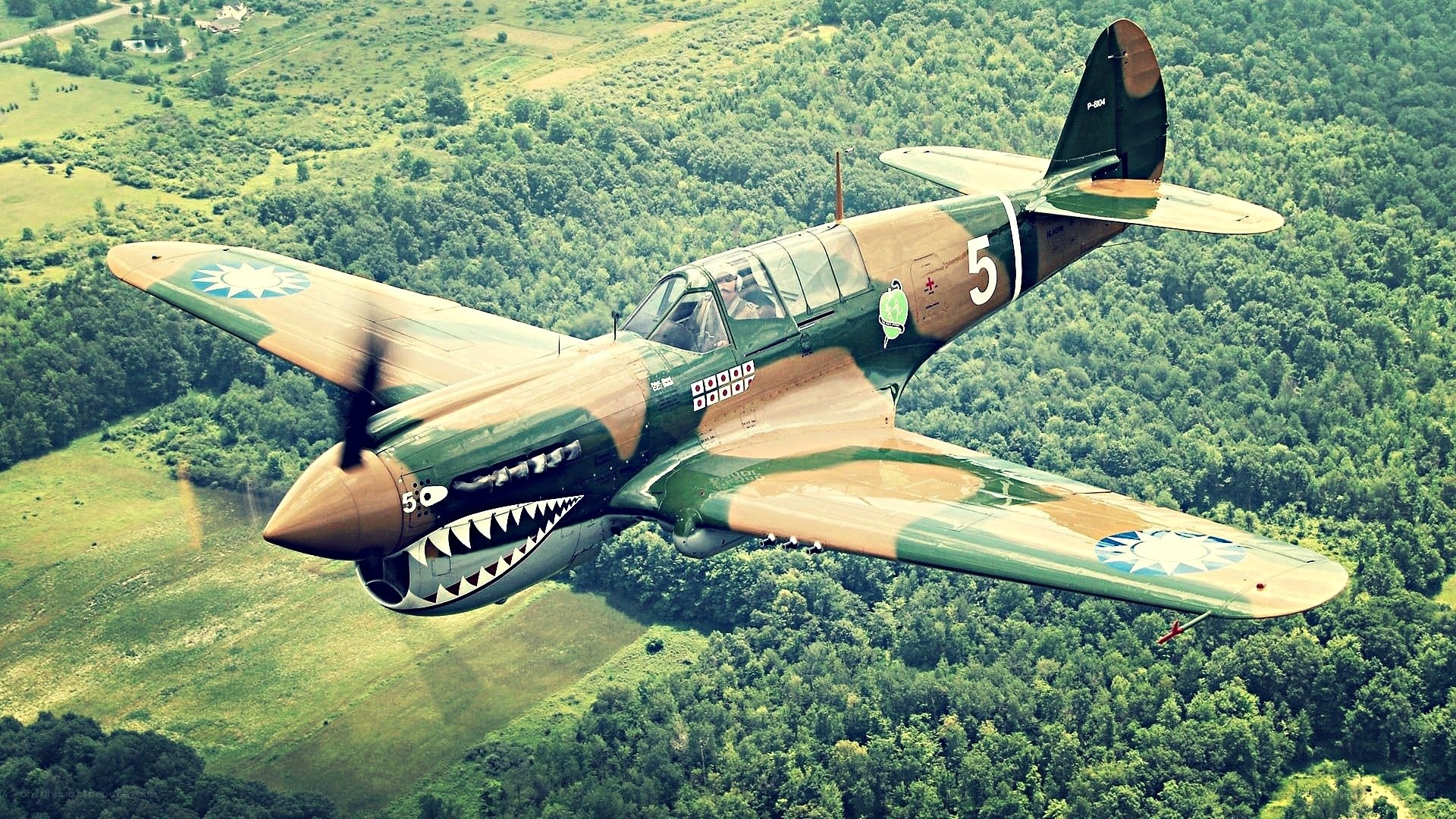 Curtiss P-40 Warhawk in flight