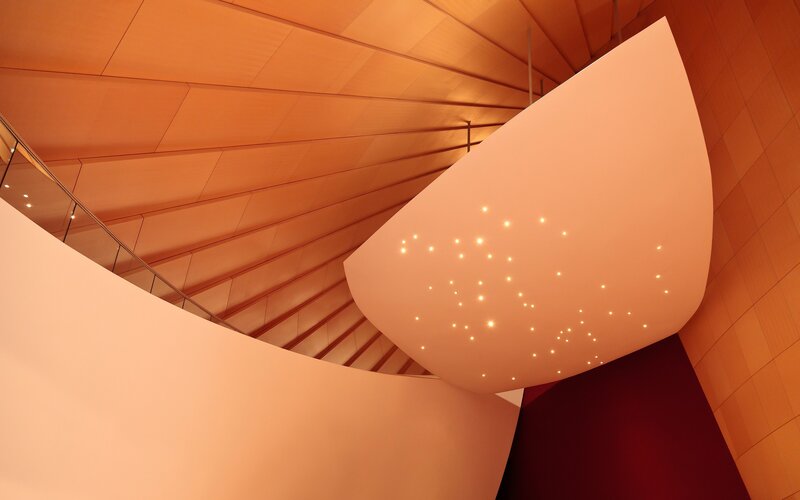 Curved Architectural Ceiling