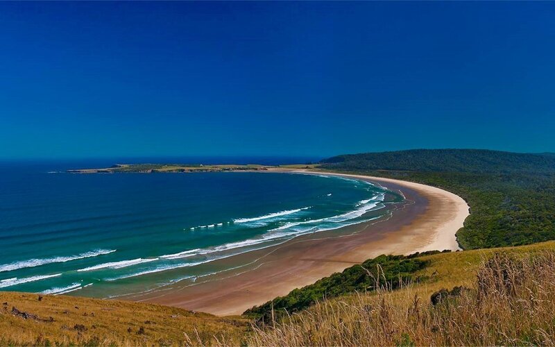 Curved Beach and Ocean