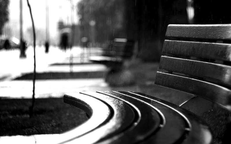 Curved Bench in Rain
