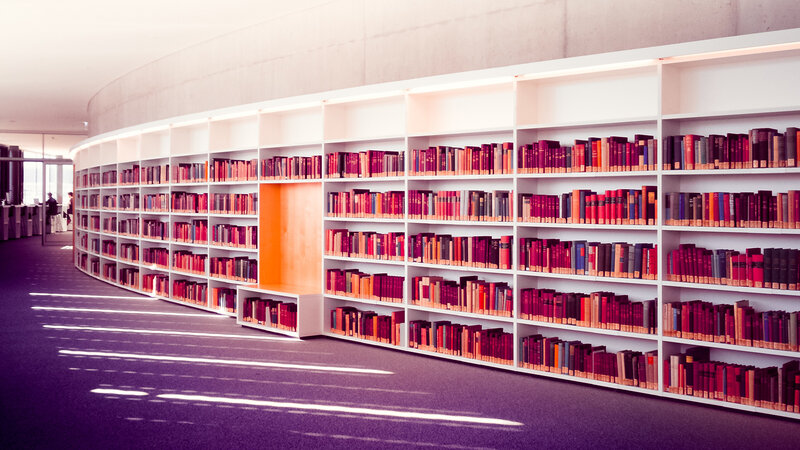 Curved Bookshelf in Library — White