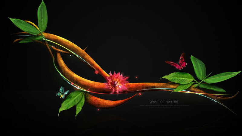 Curved Branch with Flowers