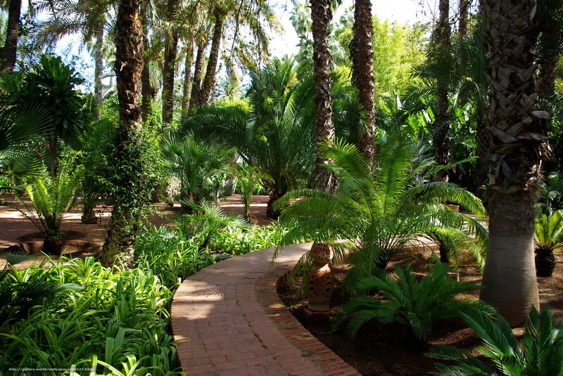 Curved Brick Path in Garden — Green, Serene