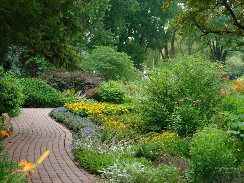 Curved Brick Path in Garden — Green