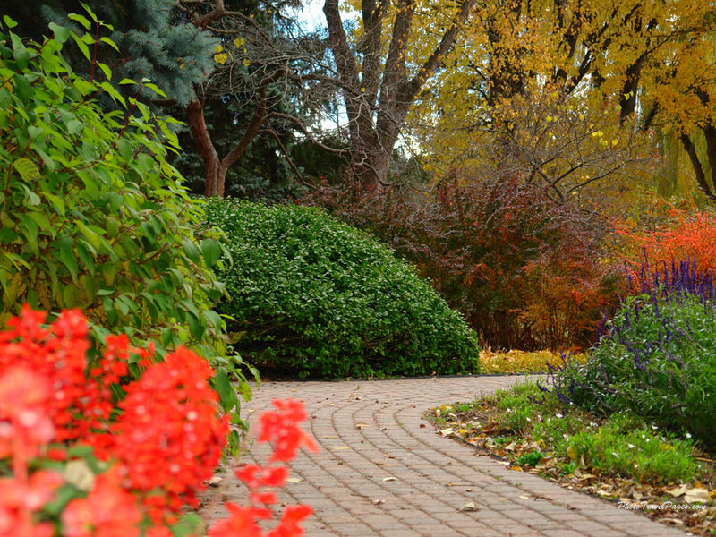 Curved Brick Path in Garden