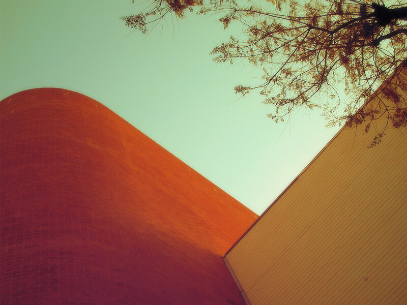 curved brick wall under tree